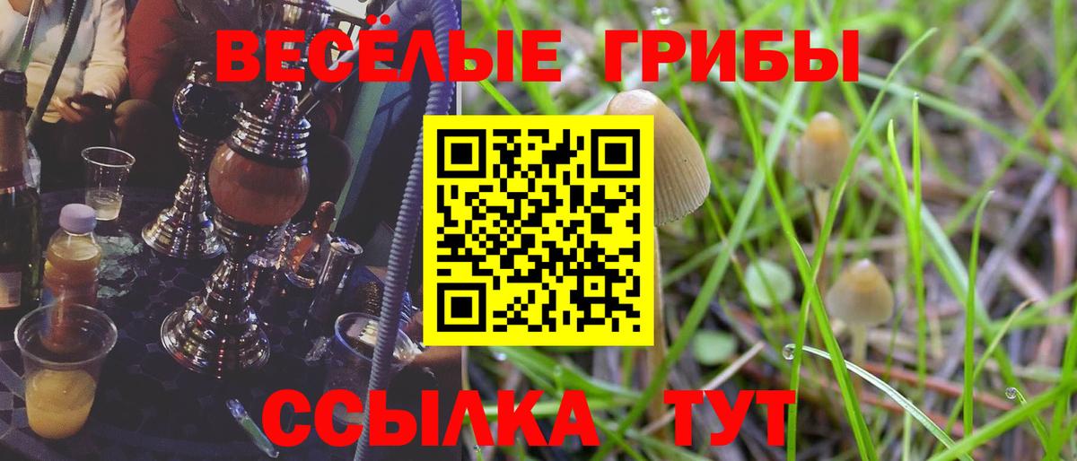 закладки  Галлюциногенные грибы Psilocybine cubensis  Псилоцибиновые грибы ЛСД  Вход с VPN  Кохма 